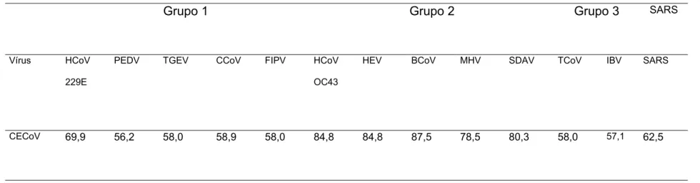 Tabela 1- Identidade de nucleotídeos (em porcentagem) de um segmento do gene codificador da proteína RNA-polimerase  RNA-dependente (gene pol) entre seqüências pertencentes aos Coronavírus Canino (CCoV), Vírus da Peritonite  Infecciosa Felina (FIPV), Coron