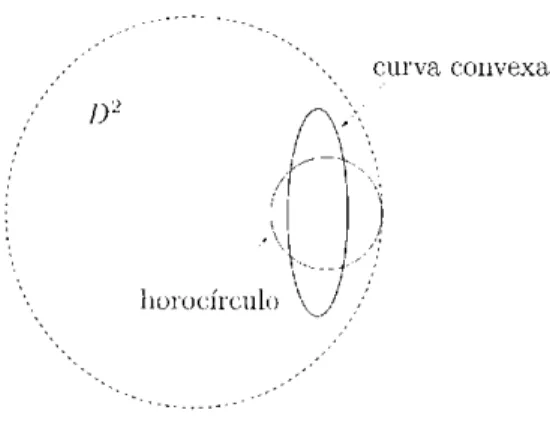 Figura 5.1: Exemplo de curva convexa que não é horo-justa. 