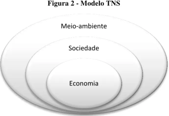 Figura 2 - Modelo TNS 