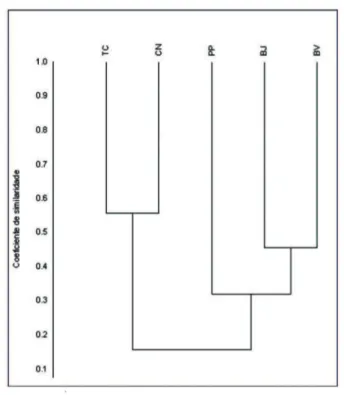 Figura 5. Análise de agrupamento para valores de dissimilaridade na composição  da  produção  específica  nas  comunidades  de  Terra  Caída  (TC),  Cuniã  (CN),  Boa Vitória (BV), Bom Jardim (BJ) e Papagaios (PP)