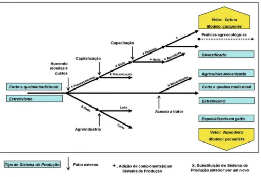 Figura  4  -  Modelo  simplificado  do  processo  de  diferenciação  dos  tipos  de  Sistemas de Produção na agricultura camponesa.
