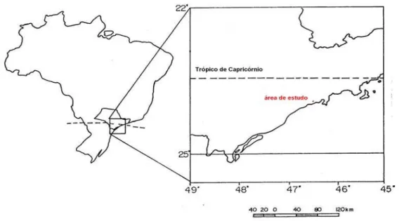 Figura 1: Localização da área de estudo: 23 o 55’13’’S, 46 o 31’54’’W, no Parque Estadual da  Serra do Mar