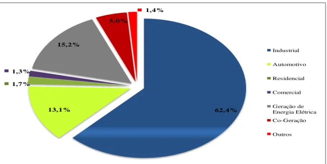 Figura 5 – Participação por Setor no consumo final de Gás Natural (dados até agosto de 2009)