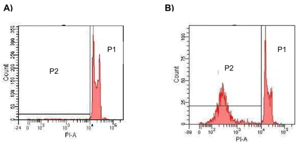 Figura  4  –   Análise  da  percentagem  dos  núcleos  hipodiplóides  de  células  HL- HL-60.BCR-ABL  pelo  método  HFS  por  citometria  fluxo