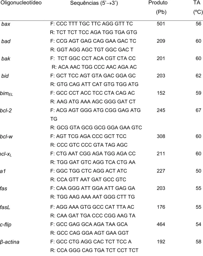 Tabela 1 - Seqüência dos oligonucleotídeos utilizados na amplificação dos cDNAs  das moléculas envolvidas na apoptose celular, tamanho do fragmento amplificado e  temperatura de anelamento (TA)