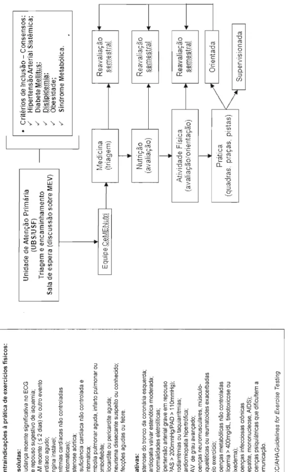 Figura 2. Modelo de implementação de MEV em atenção primária à saúde.