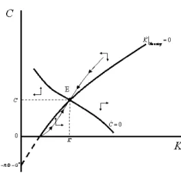 Figure 10: The Saddle-Point Stable Equilibrium