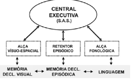 FIGURA 1 -   Modelo de regulação da Memória de Trabalho   Fonte: Baddeley (1992). 