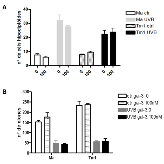 Figura 5 –  A adição de Gal-3 exógena não altera a resposta de morte ou  sobrevivência celular frente ao agravo gerado por UVB