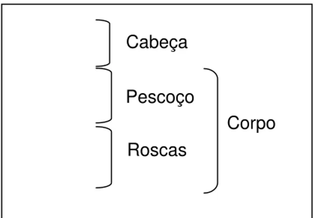 Figura 1 - Exemplo de um parafuso de  abutment e os diferentes segmentos que o  compõem.
