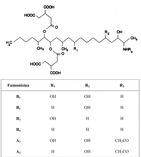 Figura 1 – Estrutura química das principais fumonisinas. 