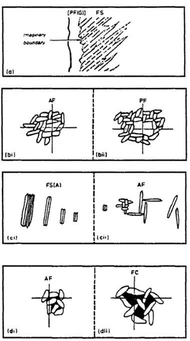 Figura 2.3 a) Fronteira imaginária entre a FP(G) e a FS / b) FA - Ferrita sob o retículo &lt; 3 X a largura média das ripas de ferrita que a circundam;