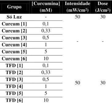 Tabela 1 – Grupos experimentais para diferentes concentrações de curcumina com e sem iluminação 