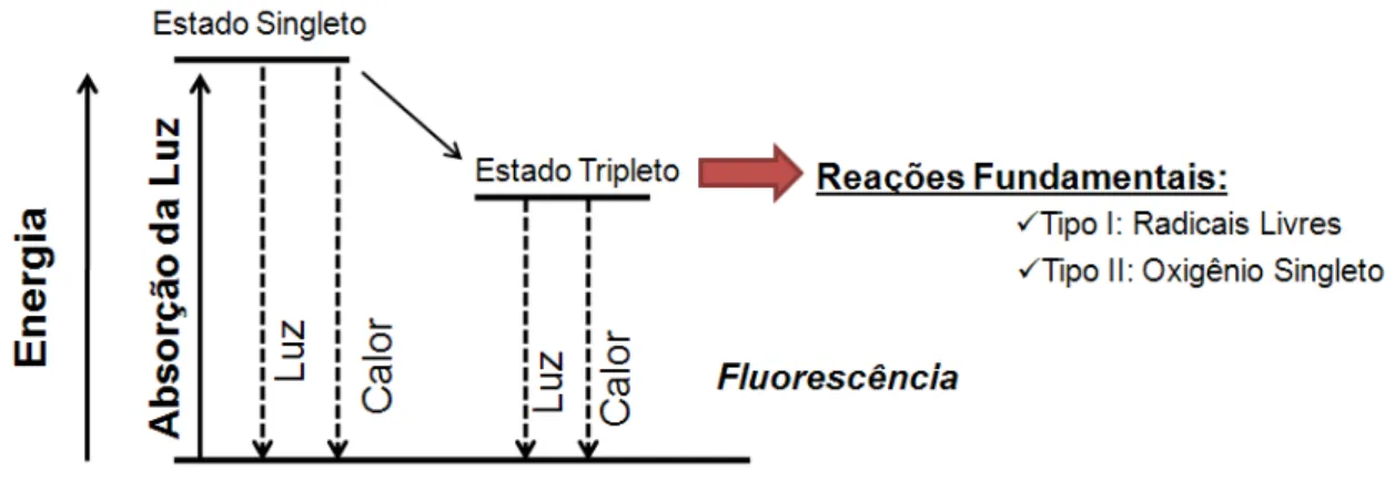 Figura 1 - Interação do fotossensibilizador e com a luz e possíveis caminhos – diagrama de Jablonski  modificado.