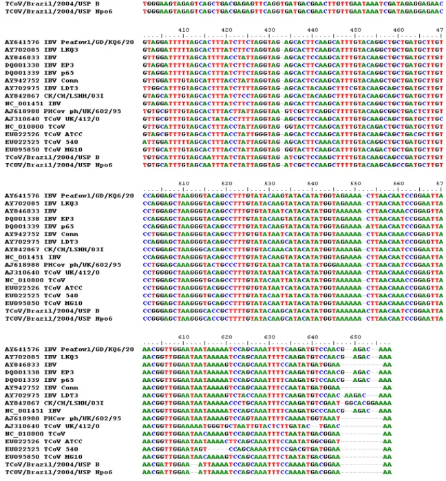 Figura 3- Cromatograma gene 3 (conclusão).  
