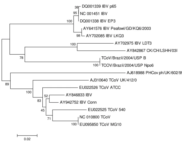 Figura 5- Árvore filogenética para o gene 3.  