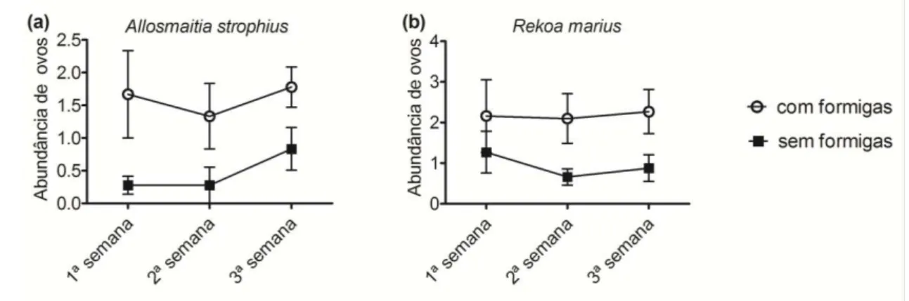 Tabela 1. Resultados dos  modelos lineares generalizados mistos (GLMMs ) testando os efeitos   da presença/ausência de formigas e identidade das formigas (Camponotus blandus, C