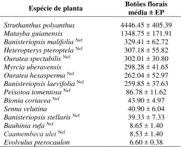 Tabela 3. Produção (média ± erro padrão), em ordem decrescente, dos botões florais nas plantas  estudadas