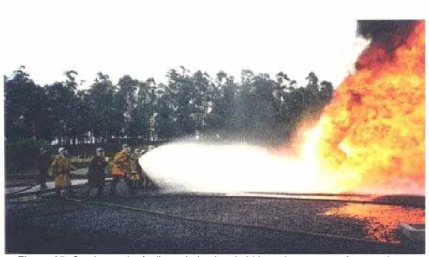 Figura 05: Combate a incêndio, a derivados de hidrocarbonetos, conforme exigem  as Normas ISO e as vigentes no Estado de São Paulo para as brigadas de  combate a incêndio de indústrias e comércio