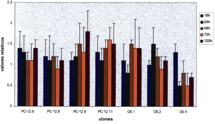 Figura 1: Avaliação da atividade do promotor de PrPc através da medida da expressão do gene &#34;reporter&#34; de luciferase nos clones de células PC-12 e C6 tratados por 18,24,48, 72 e 120 horas com 50nglml de NGF-J3