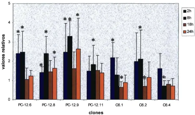 Figura 4: Avaliação da atividade do promotor de PrPc através da medida da expressão do gene &#34;reporter&#34; de luciferase nos clones de células PC-12 e C6 tratados por 2, 8, 18 e 24 horas com IIlg/ml de TP A