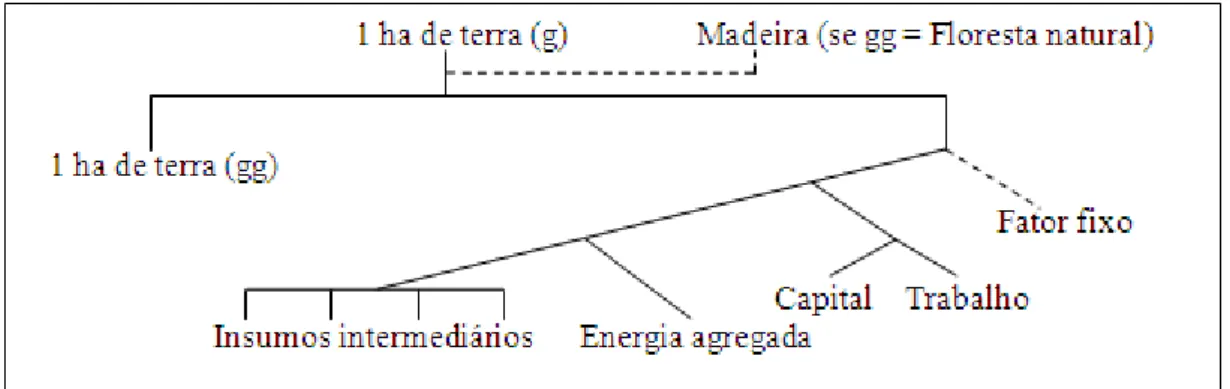 Figura 7 – Estrutura das funções de conversão do uso da terra 