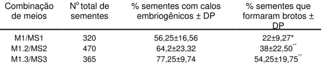 Tabela  1.3  –   Efeito  da  combinação  de  meios  na  embriogênese  somática  em  sementes maduras de Brachiaria brizantha cultivadas por dois meses 