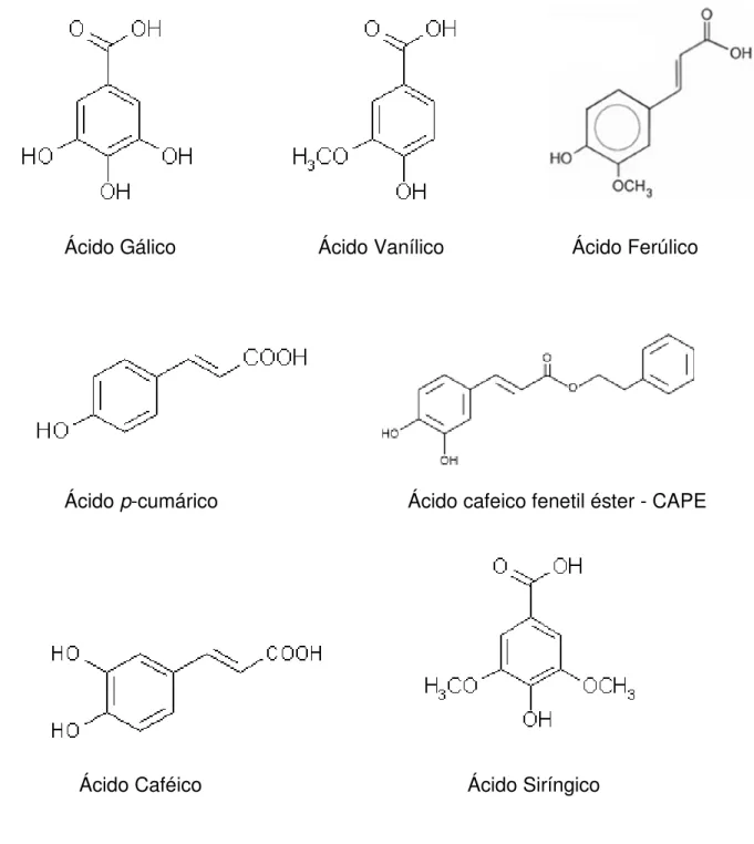 Figura 3 -  Estrutura química de alguns compostos fenólicos encontrados em própolis  Fonte: SERRA BONVEHÍ et al