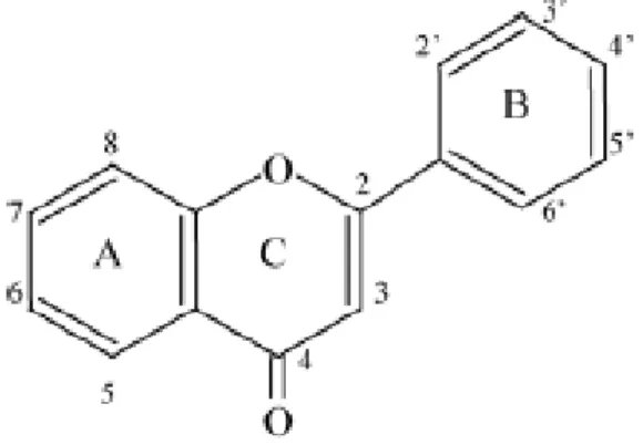 Figura 4 -  Núcleo básico de um flavonóide, sendo composto por dois anéis aromáticos (A e B) e   um anel intermediário (C) 