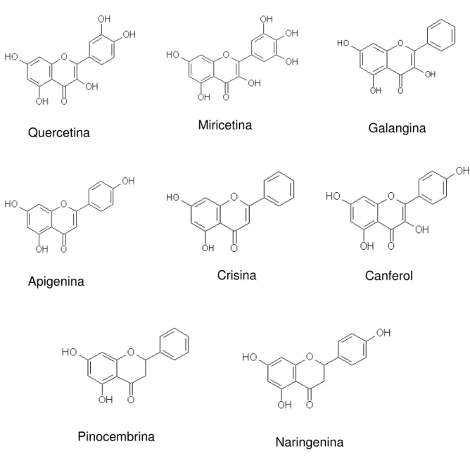 Figura 5 - Estrutura de alguns flavonóides comumente encontrados em própolis  Fonte: PUBMED (2008) 