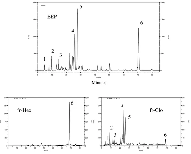 Figura 11 -  Cromatogramas obtidos por CLAE do extrato etanólico bruto da própolis vermelha   (EEP),  da  fração  hexânica  (fr-Hex.)  e  fração  clorofórmica  (fr-Clo.)