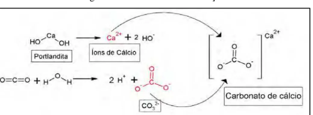 Figura 6 - Processo de carbonatação