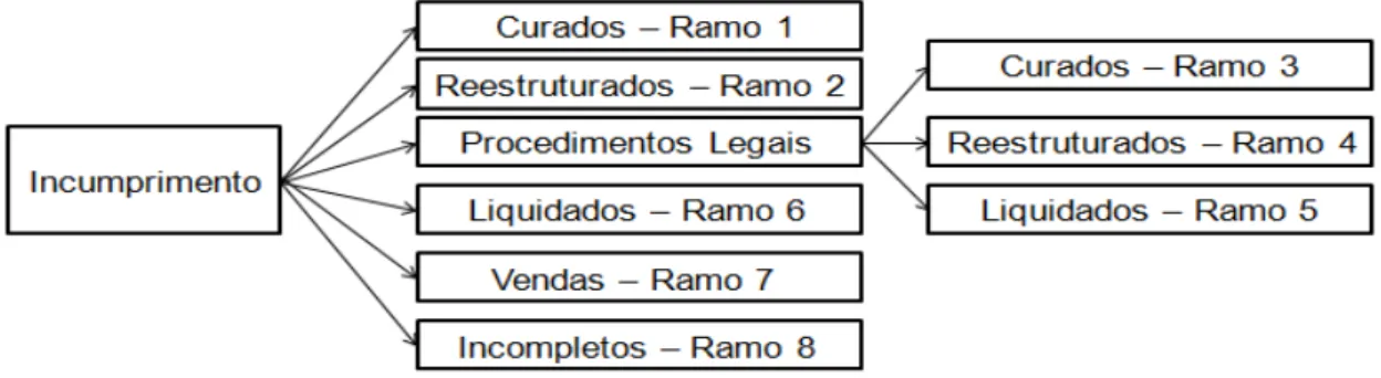 Figura 2 – Representação dos ramos 