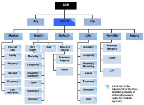 Figure 4.2.1: Risk Modules and sub modules under Solvency II regime. (Source: The underwriting assumptions  in the standard formula for the Solvency Capital Requirement calculation