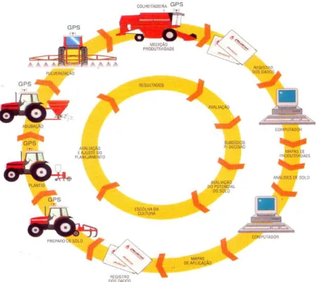 Figura 1 – Ciclo da agricultura de precisão (Cabrera, 2002)  2.2 Coleta de dados em Agricultura de Precisão 
