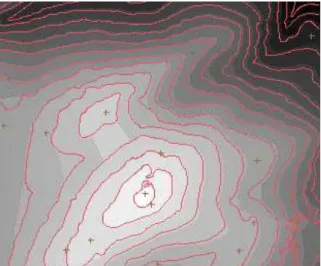 Figura 12 – Imagem em níveis de cinza com curvas de nível sobreposta  2.3.4.2 Geração de isolinhas 