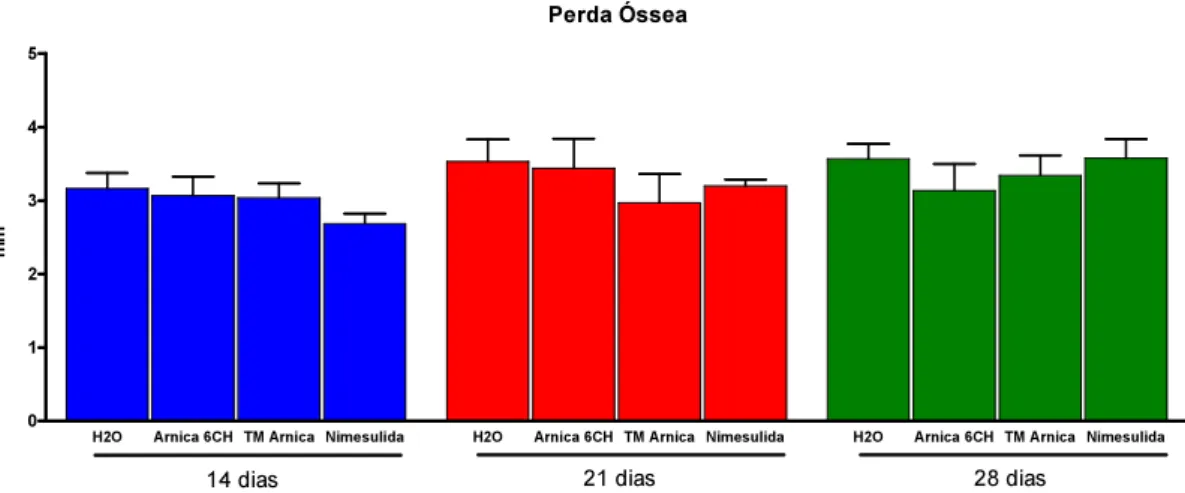 Figura 6 - Representação gráfica da Perda Óssea no grupo H 2 O e nos grupos de  animais tratados nos períodos de 14, 21 e 28 dias de tratamento