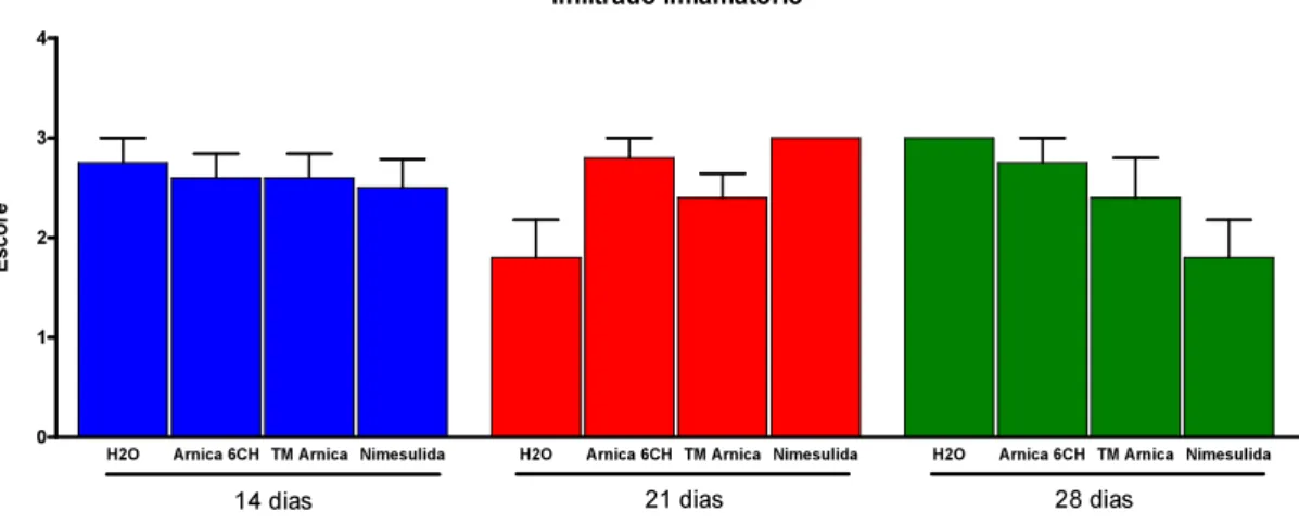 Figura  8  -  Representação  gráfica  do  Infiltrado  Inflamatório  no  grupo  H 2 O  e  nos  grupos de animais tratados nos períodos de 14, 21 e 28 dias de tratamento