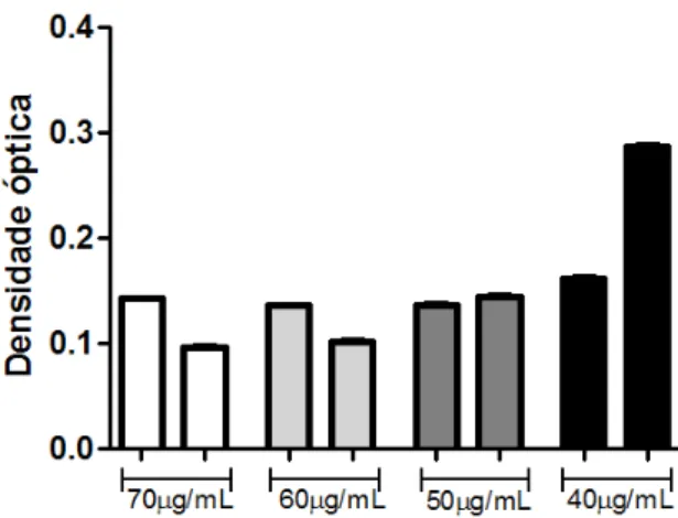 Figura 2.  Avaliação da proliferação bacteriana após uso do antibiótico Cloranfenicol