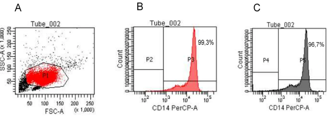 Figura  3.  Avaliação  da  pureza  de  células  CD14+  separadas  por  microbeads magnéticas
