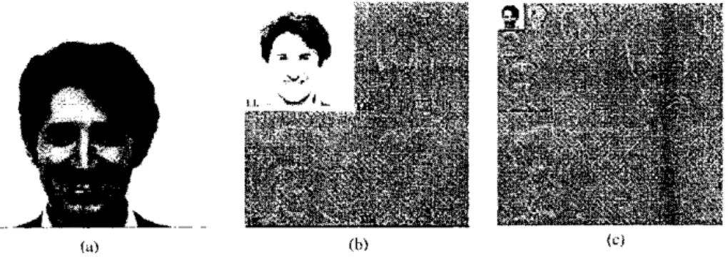 Figura 3.12: Processo de redução da dimensionalidade da imagem de uma face; (a) Imagem  original de 256 x 256; (b) Primeiro nível de redução; (c) Teceiro nível de redução