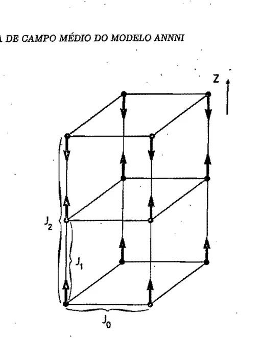 Figura  2.1:  Modelo ANNNl  numa rede  cubica  simples  (Selke,  1992  ). 
