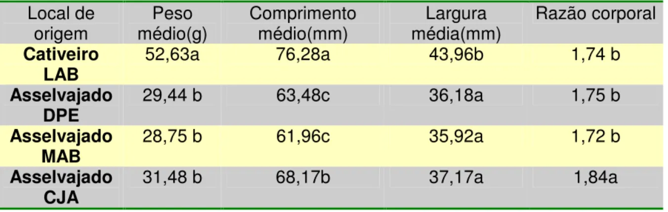 Tabela  1-  Resultados  da  avaliação  corporal  externa,  na  forma  de  peso  médio,  comprimento  e  largura  média  de  concha  e  Razão  Corporal  (RC)