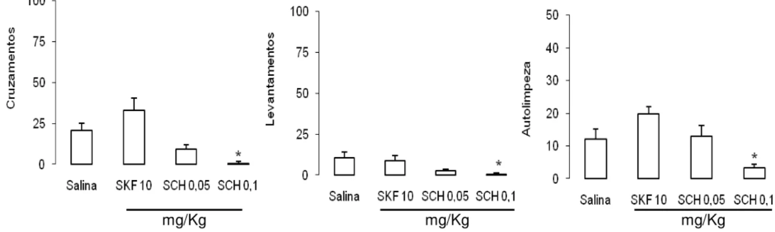 Fig. 6. Efeitos da injeção  ip. de salina, SKF 38393 10  mg/Kg (SKF 10), SCH 23390 0,05 mg/Kg (SCH  0,05)  e  SCH  23390  0,1  mg/Kg  (SCH  0,1)  sobre  a  atividade  motora  horizontal  (cruzamentos),  levantamentos  e  autolimpeza  de  animais  submetido