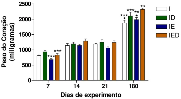Figura 4. Peso do coração de ratos Wistar machos infectados com a cepa Y de T. cruzi, no 7°, 14°,  21° e 180° dias após a infecção, dos seguintes grupos: Infectado (I), Infectado tratado com DHEA  (ID), Infectado Estressado (IE) e Infectado Estressado e tr