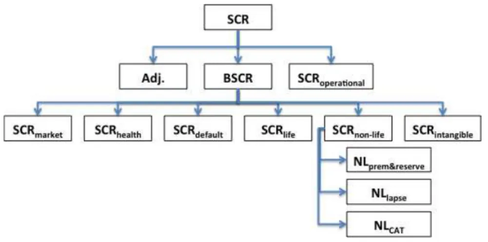 Figure 2: SCR modular structure 