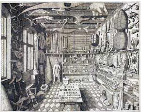 Figura 1- Frontispicio do Musei Wormiani Historia mostrando o quarto das maravilhas de Worm 1