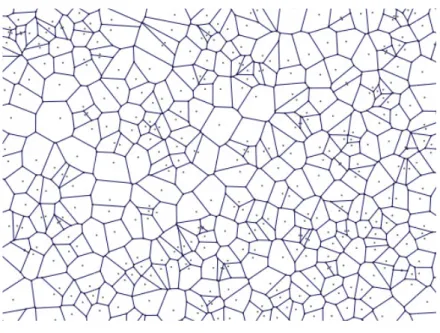 Figure 1 – Voronoi tessellation 