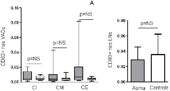 Gráfico 3. Expressão do CD83+ nas camadas interna (CI), camada muscular  (CM) e camada externa (CE) das VAG e dos LNs broncopulmonares na asma  fatal (AF) e controles (Ctrl)