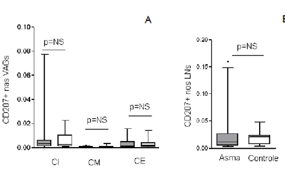 Gráfico 4. Expressão do CD207+ nas camadas interna (CI), camada muscular  (CM) e camada externa (CE) das VAG e dos LNs broncopulmonares na asma  fatal (AF) e controles (Ctrl)
